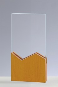 Trofee din Cristal CR 12